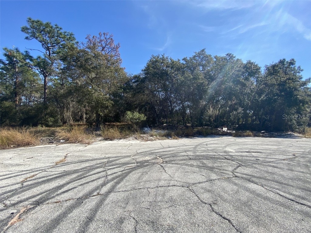 1203 Vernon Lane Kissimmee FL 34759 TB8348277 image7