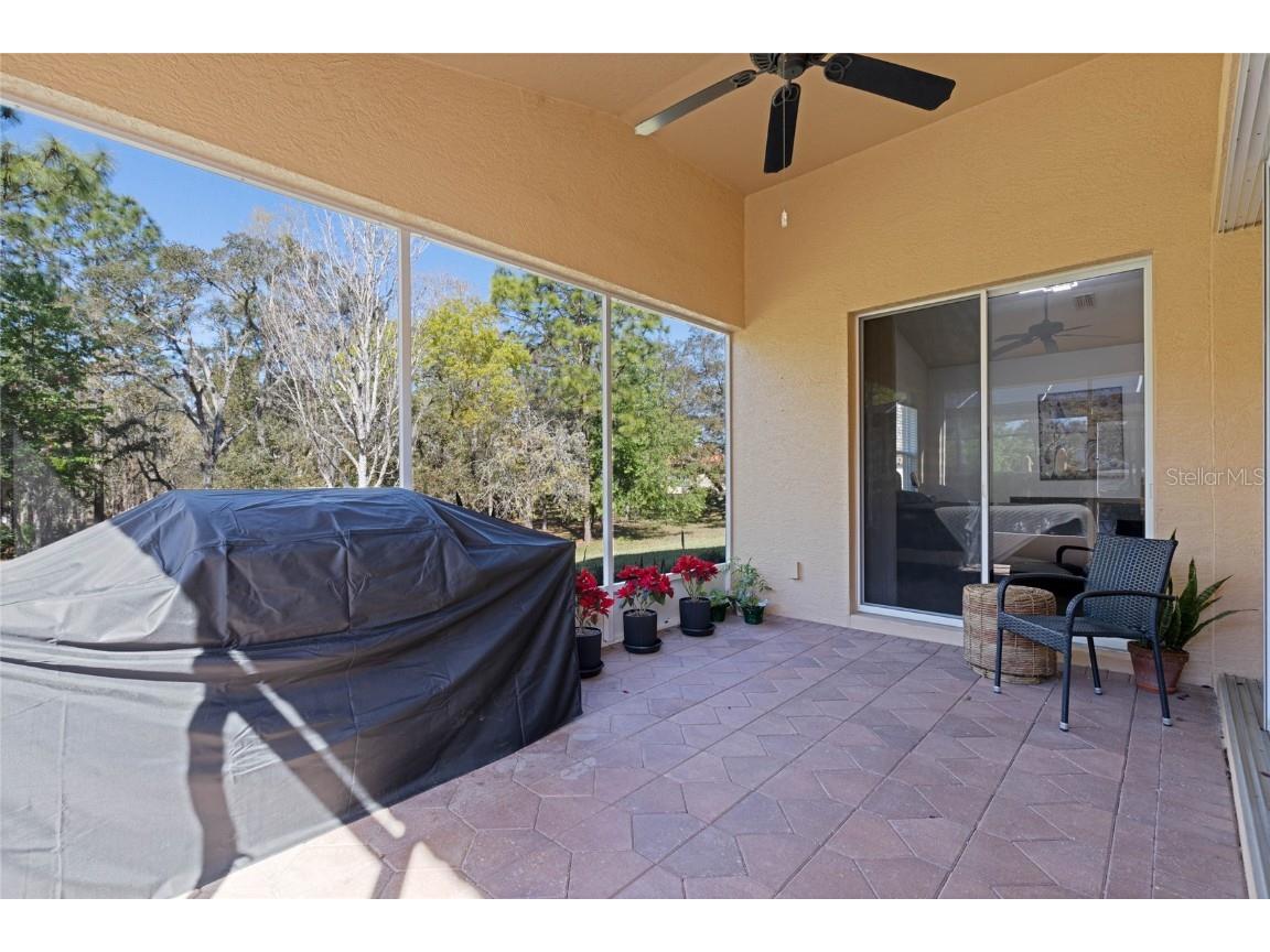 1203 W Diamond Shore Loop Hernando FL 34442 O6359295 image21