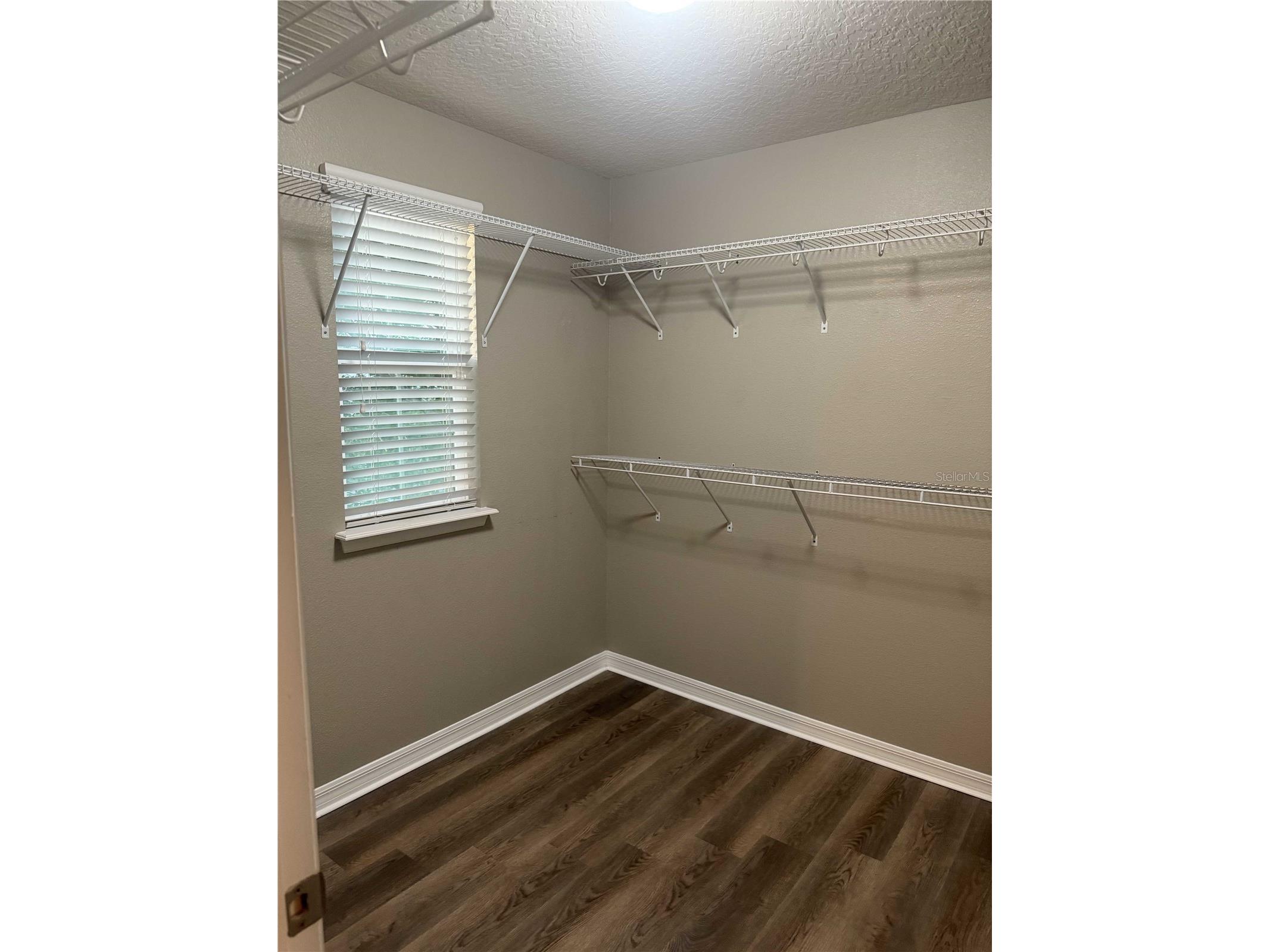 12030 Silverlake Park Drive Windermere FL 34786 S5148671 image14