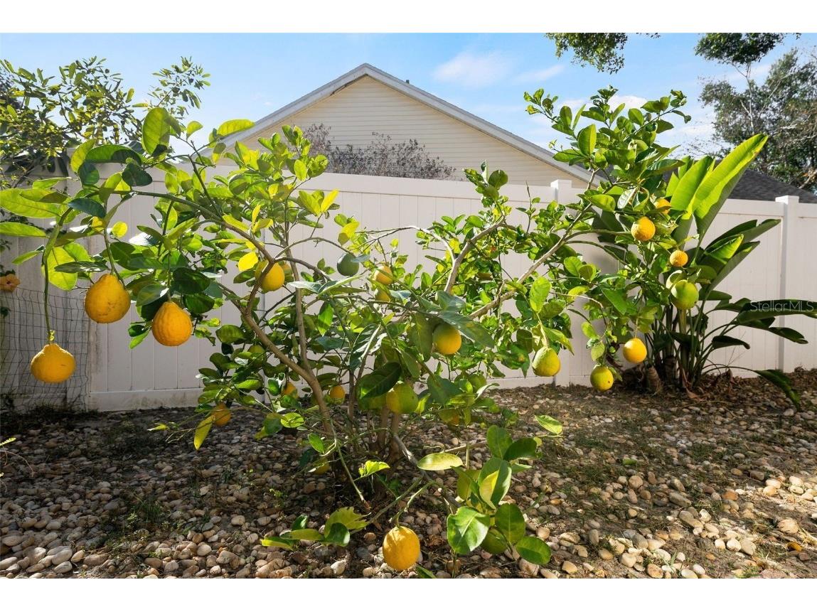 12030 Steppingstone Boulevard Tampa FL 33635 TB8450037 image28