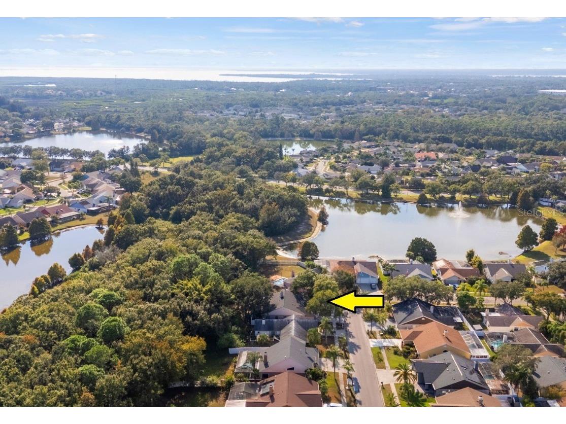 12030 Steppingstone Boulevard Tampa FL 33635 TB8450037 image29