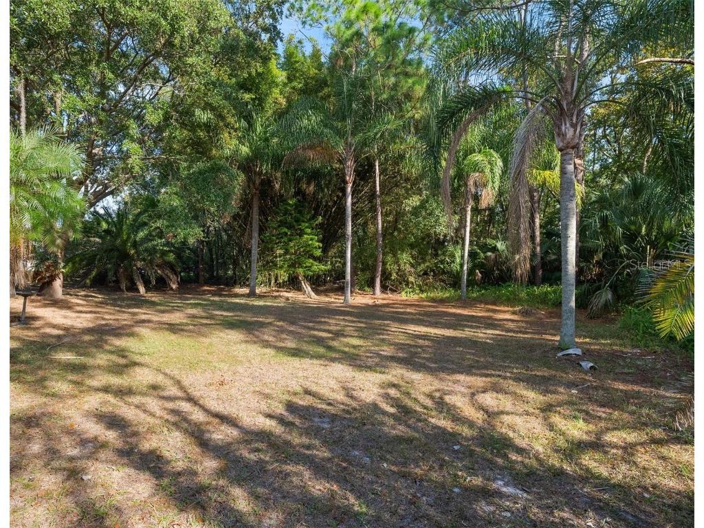 12030 Steppingstone Boulevard Tampa FL 33635 TB8450037 image4