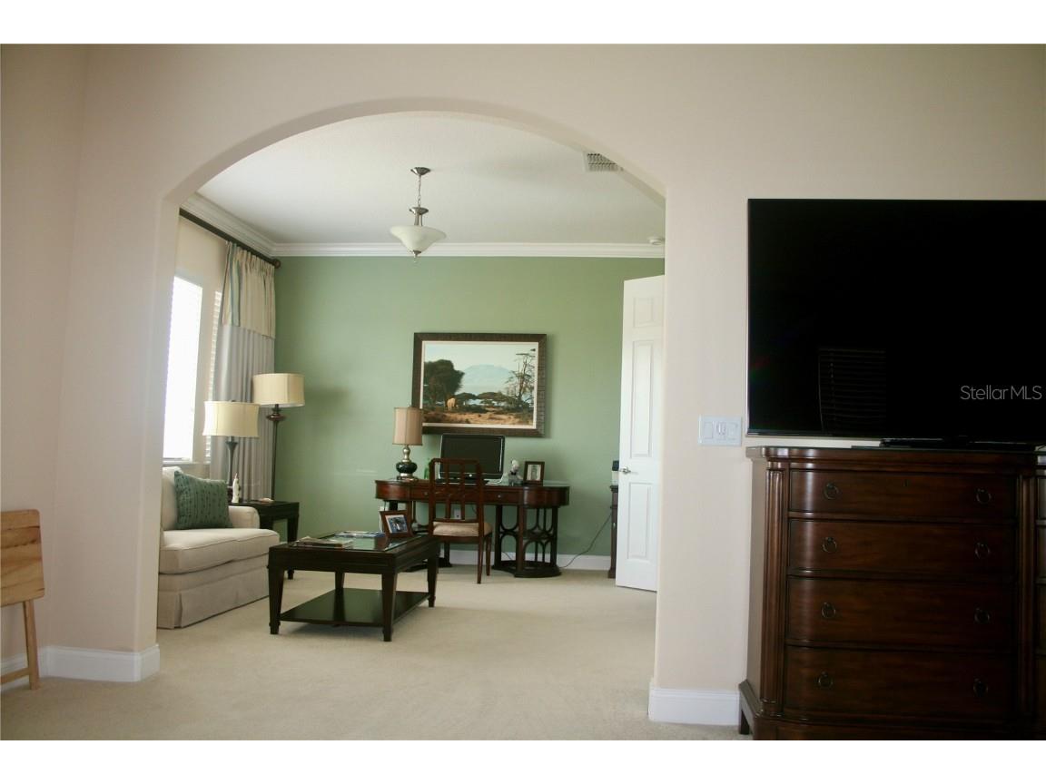 12030 Waterstone Loop Drive Windermere FL 34786 O6305035 image11