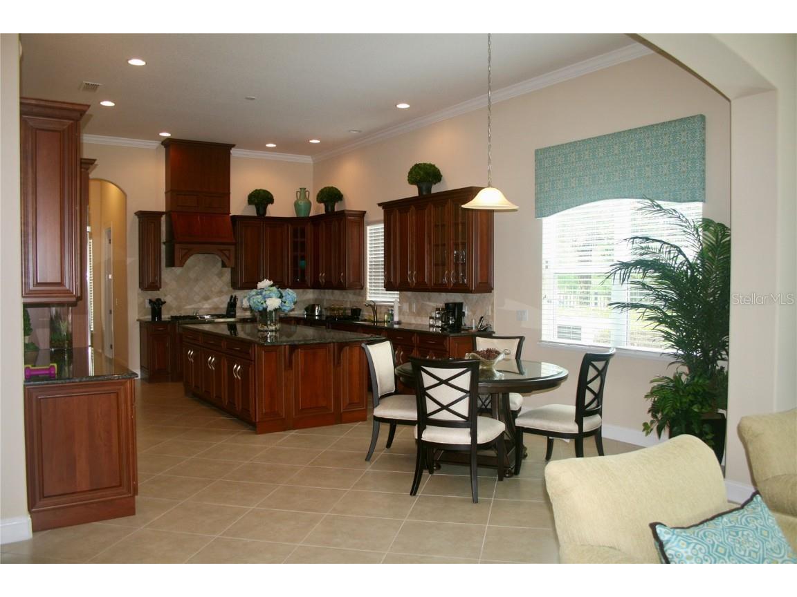 12030 Waterstone Loop Drive Windermere FL 34786 O6305035 image8