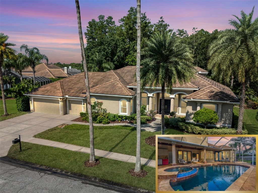 12031 Brewster Drive Tampa FL 33626 TB8409142 image1