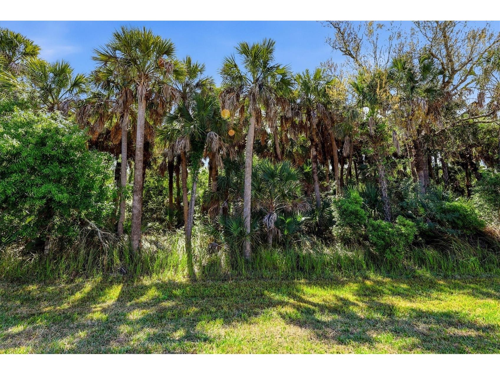 12031 Lovegrass Street Venice FL 34293 D6146603 image39