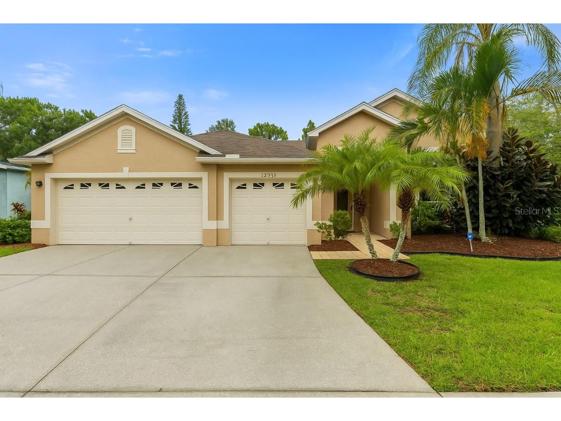 12031 Mountbatten Drive Tampa FL 33626 TB8398640 image1