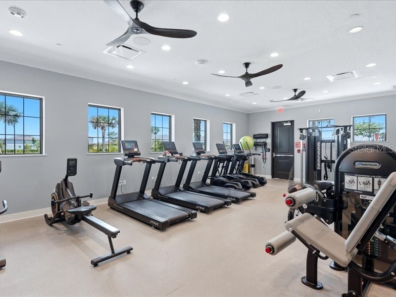 12032 Blue Diamond Trail Parrish FL 34219 A4694116 image43