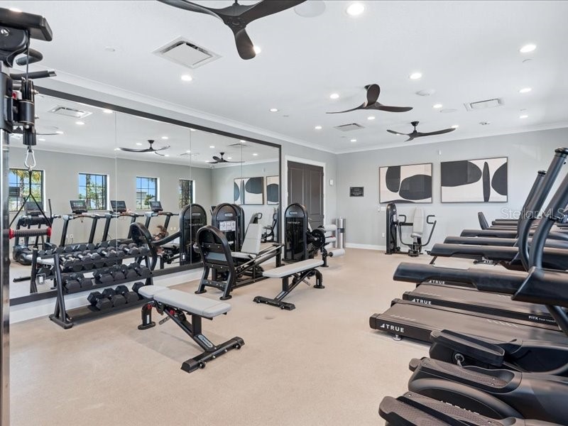12032 Blue Diamond Trail Parrish FL 34219 A4694116 image44