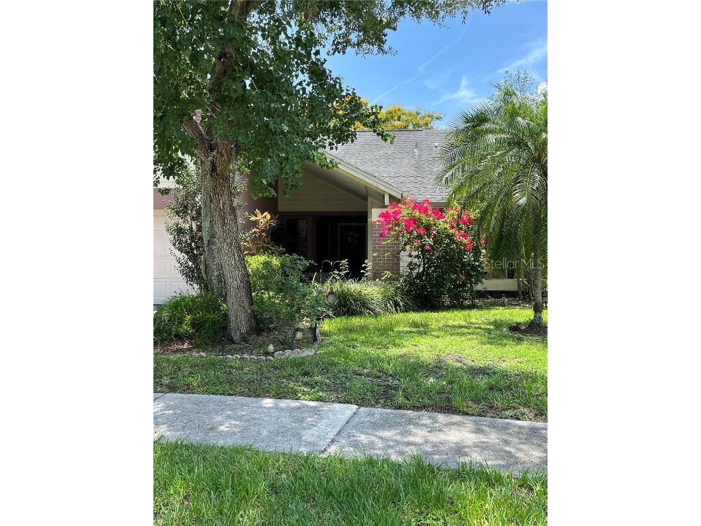 12032 Steppingstone Boulevard Tampa FL 33635 T3453142 image1