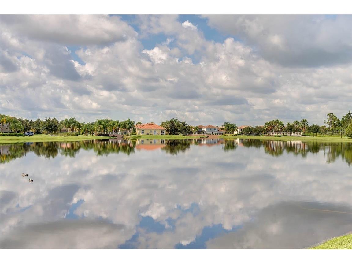 12033 Forsythia Drive Orlando FL 32827 O6362386 image34