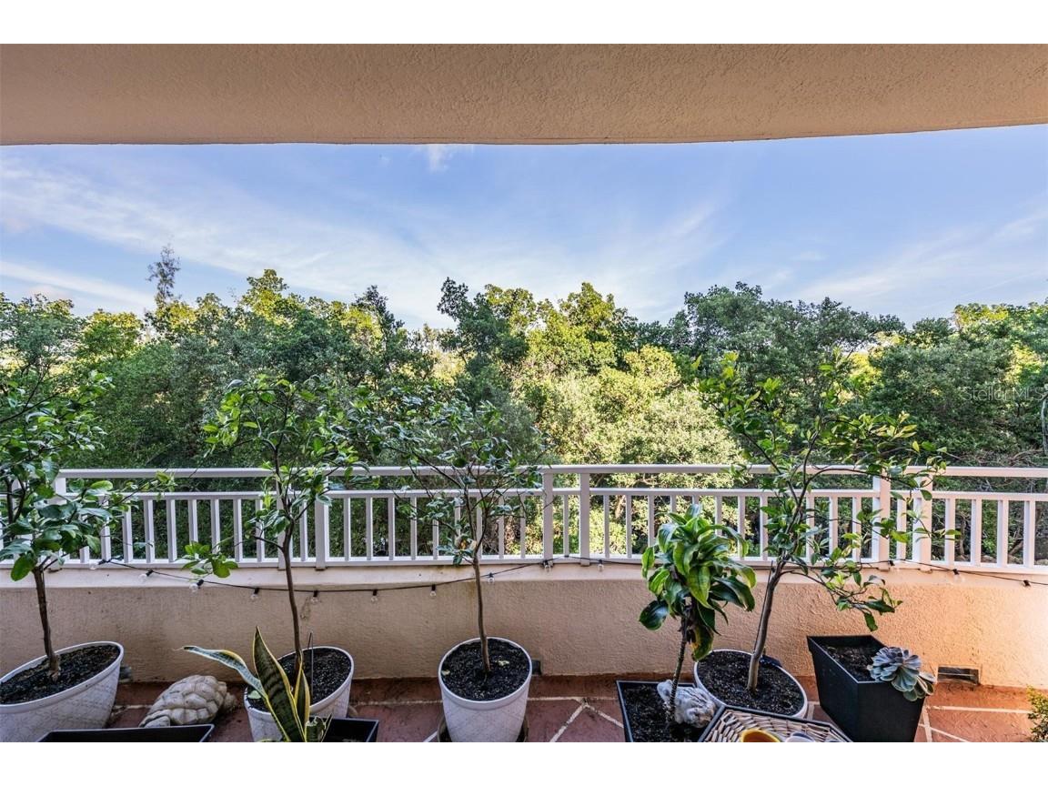 12033 Gandy Boulevard N #135 Saint Petersburg FL 33702 TB8454502 image22