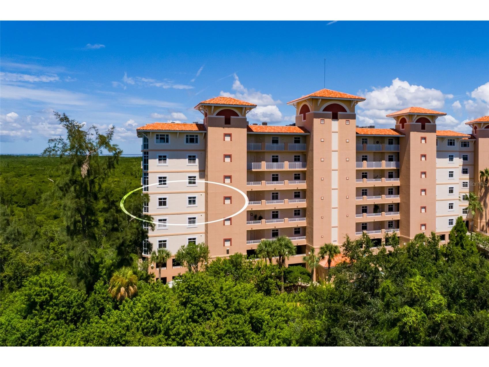 12033 Gandy Boulevard N #151 Saint Petersburg FL 33702 TB8483877 image8