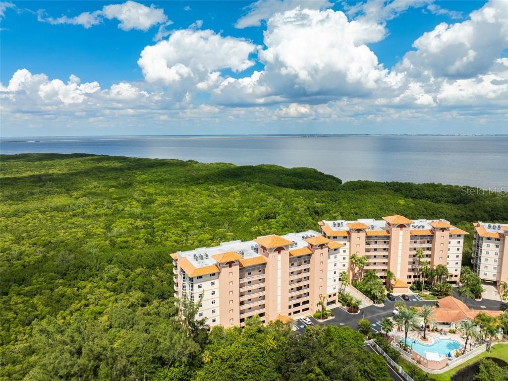 12033 Gandy Boulevard N #165 Saint Petersburg FL 33702 - TAMPA BAY TB8304124 image1