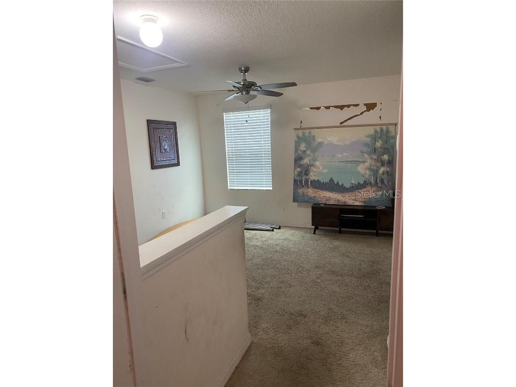 12034 Suburban Sunrise Street Riverview FL 33578 TB8423687 image13