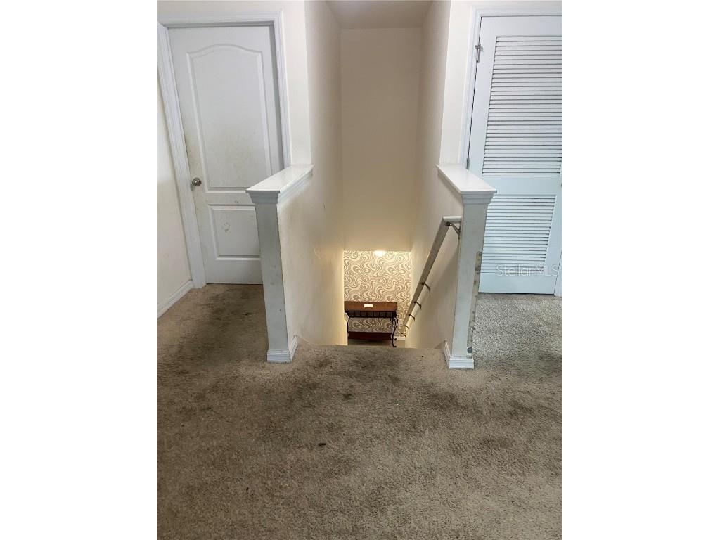 12034 Suburban Sunrise Street Riverview FL 33578 TB8423687 image17