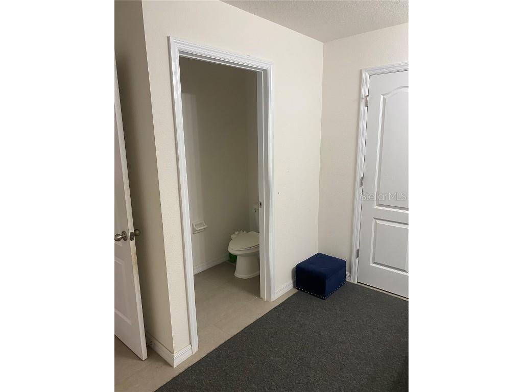 12034 Suburban Sunrise Street Riverview FL 33578 TB8423687 image23