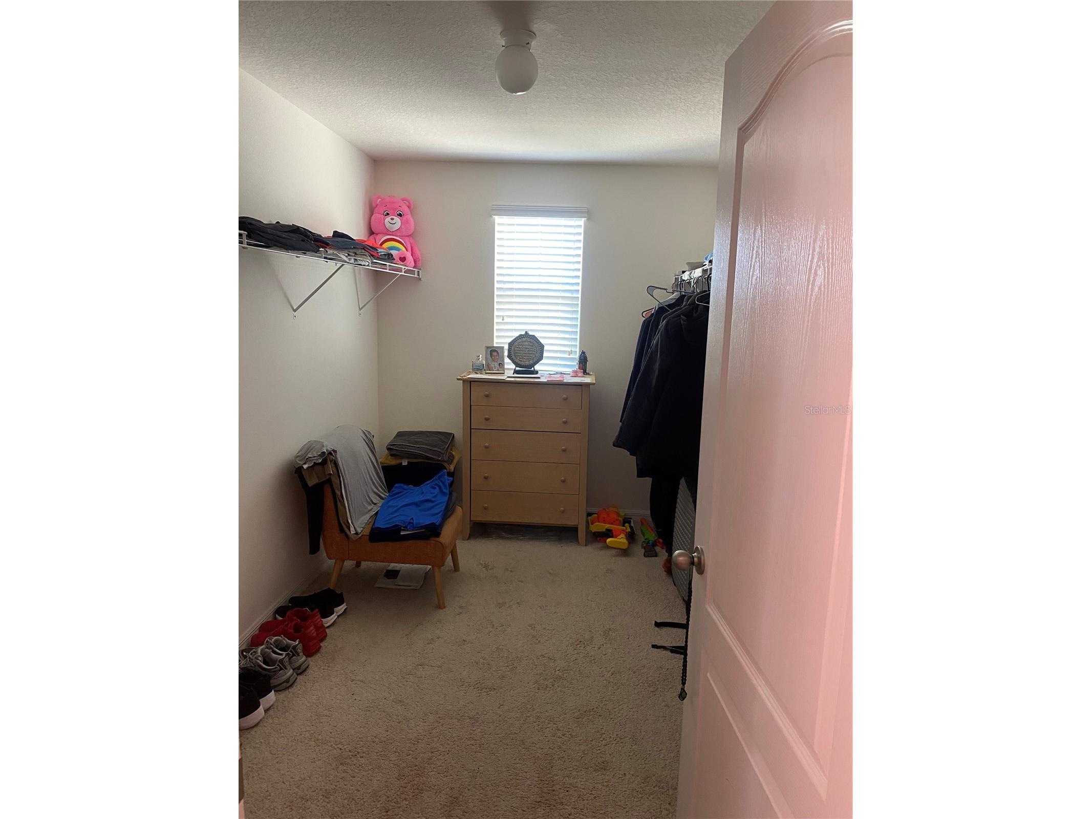 12034 Suburban Sunrise Street Riverview FL 33578 TB8423687 image30