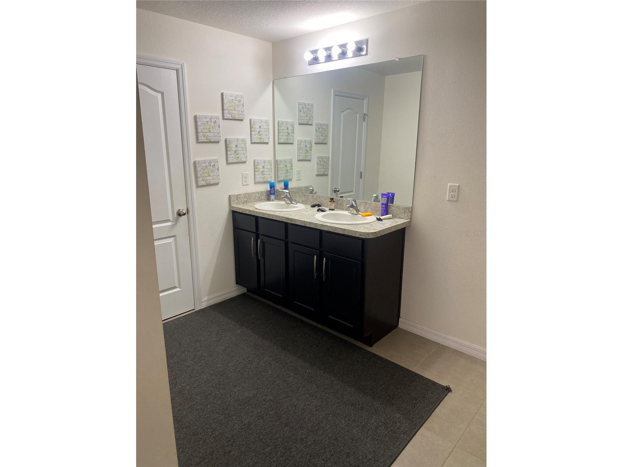 12034 Suburban Sunrise Street Riverview FL 33578 TB8423687 image31