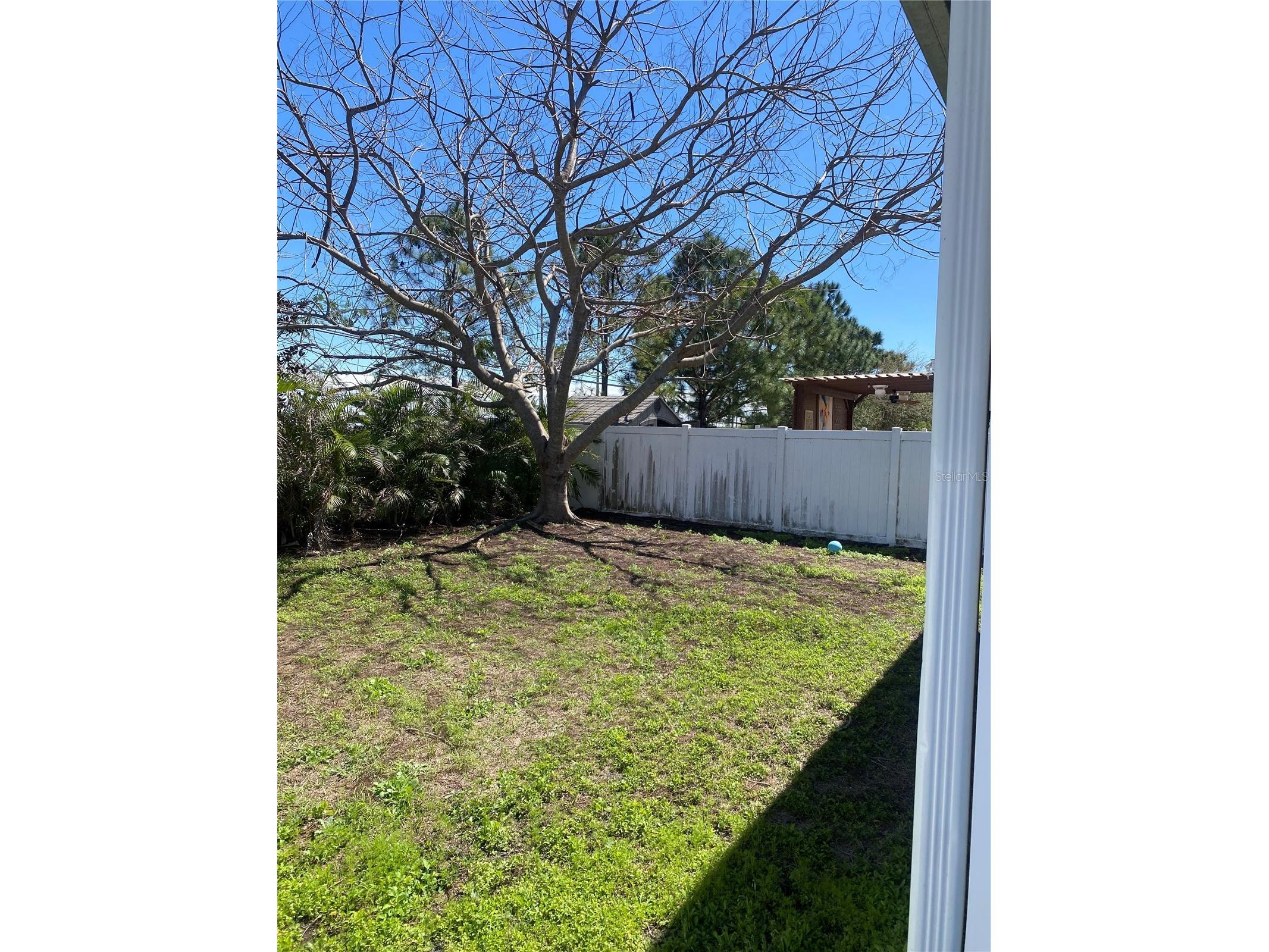 12034 Suburban Sunrise Street Riverview FL 33578 TB8423687 image32