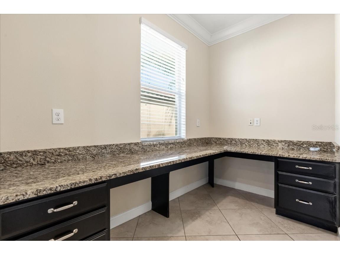 12036 Cardinal Flower Drive Riverview FL 33579 O6366609 image11