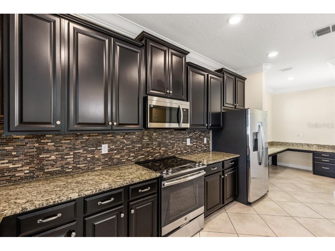 12036 Cardinal Flower Drive Riverview FL 33579 O6366609 image12