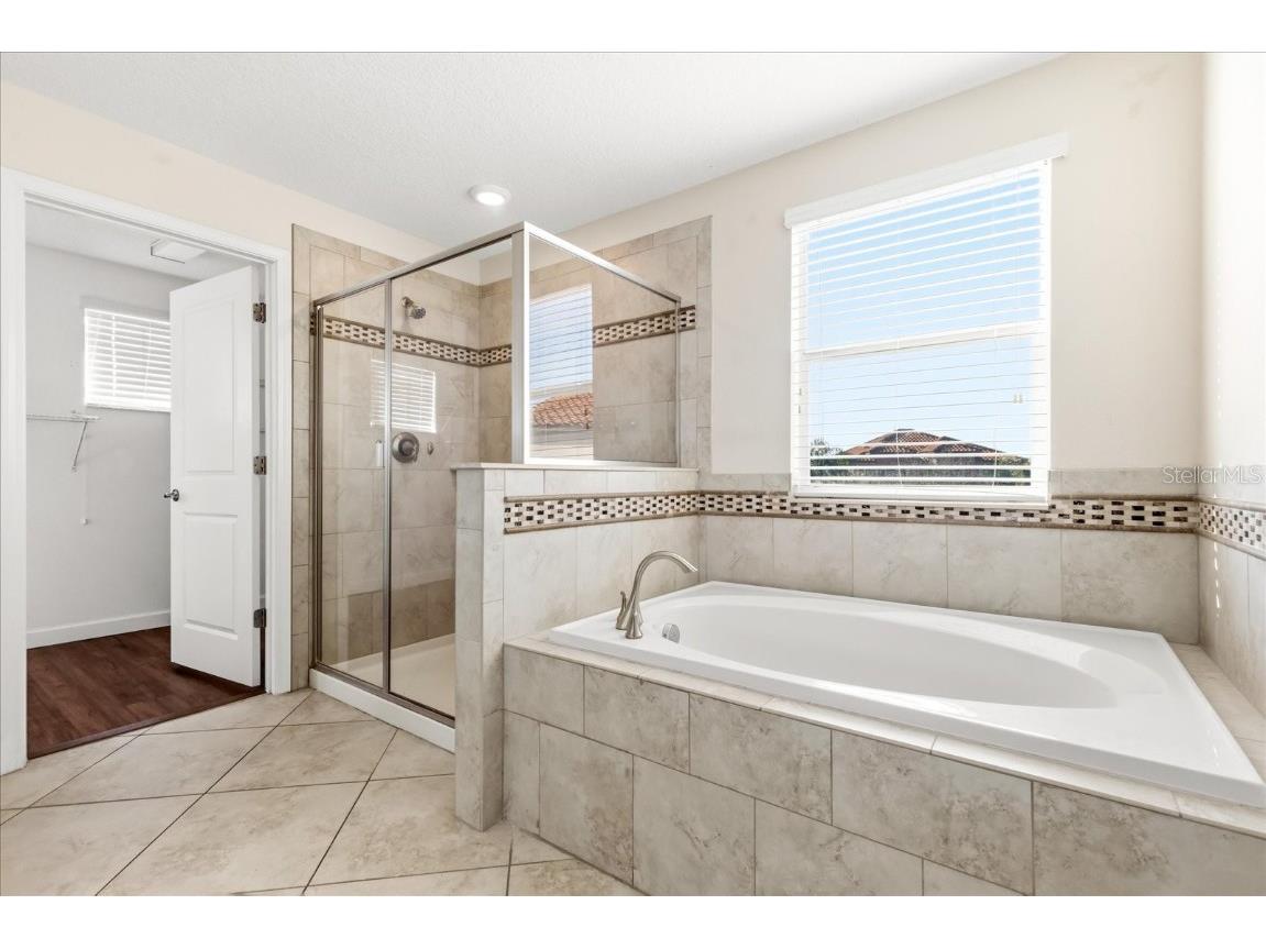 12036 Cardinal Flower Drive Riverview FL 33579 O6366609 image15