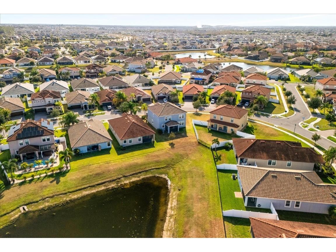 12036 Cardinal Flower Drive Riverview FL 33579 O6366609 image19