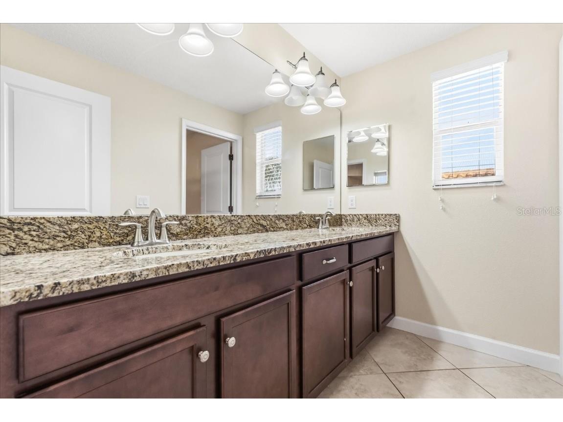 12036 Cardinal Flower Drive Riverview FL 33579 O6366609 image21