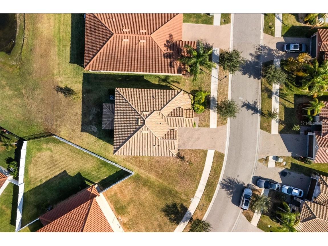 12036 Cardinal Flower Drive Riverview FL 33579 O6366609 image31