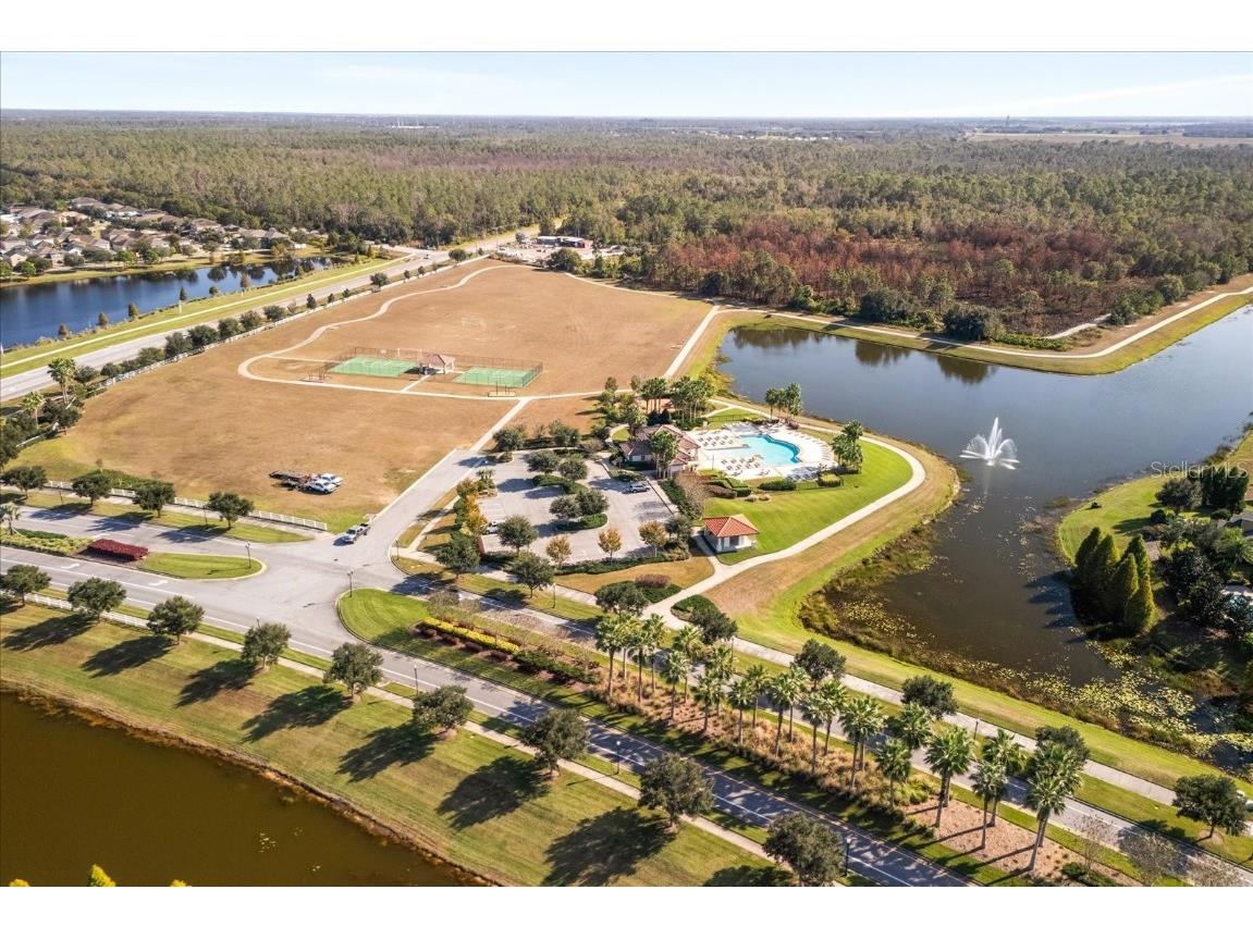 12036 Cardinal Flower Drive Riverview FL 33579 O6366609 image36