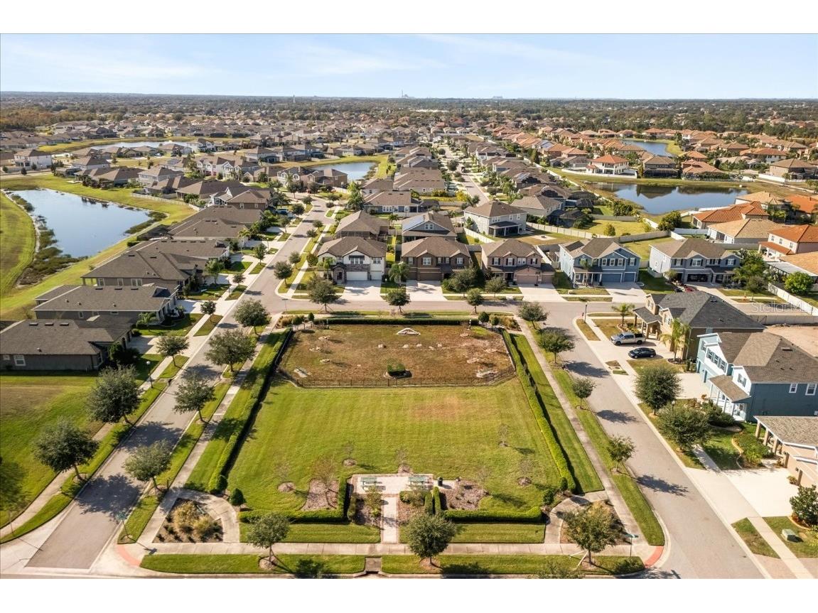 12036 Cardinal Flower Drive Riverview FL 33579 O6366609 image38