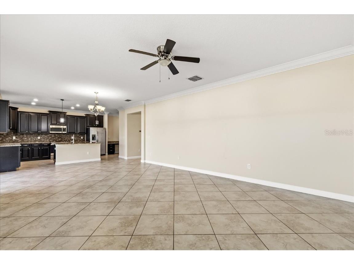 12036 Cardinal Flower Drive Riverview FL 33579 O6366609 image7