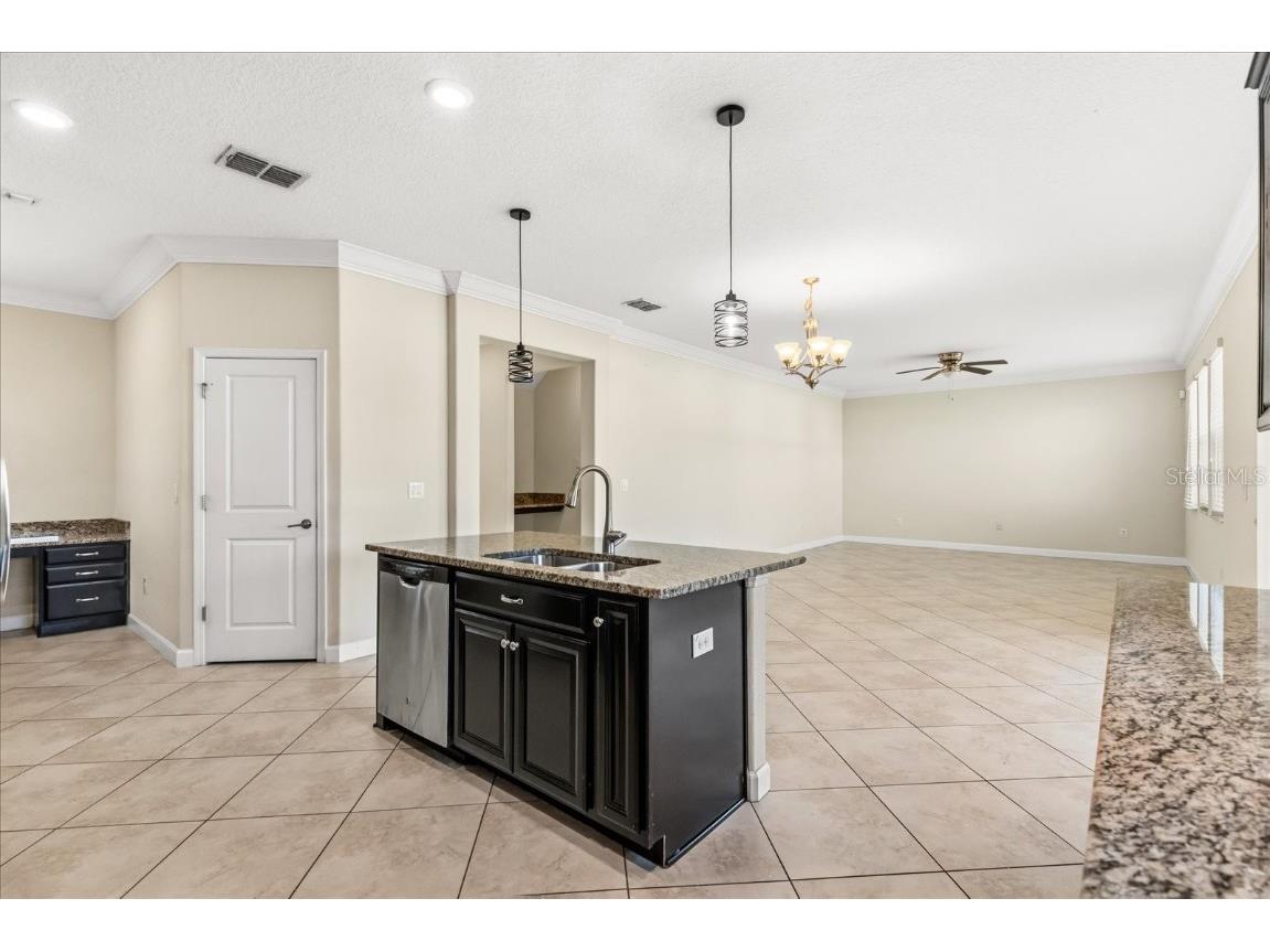 12036 Cardinal Flower Drive Riverview FL 33579 O6366609 image9