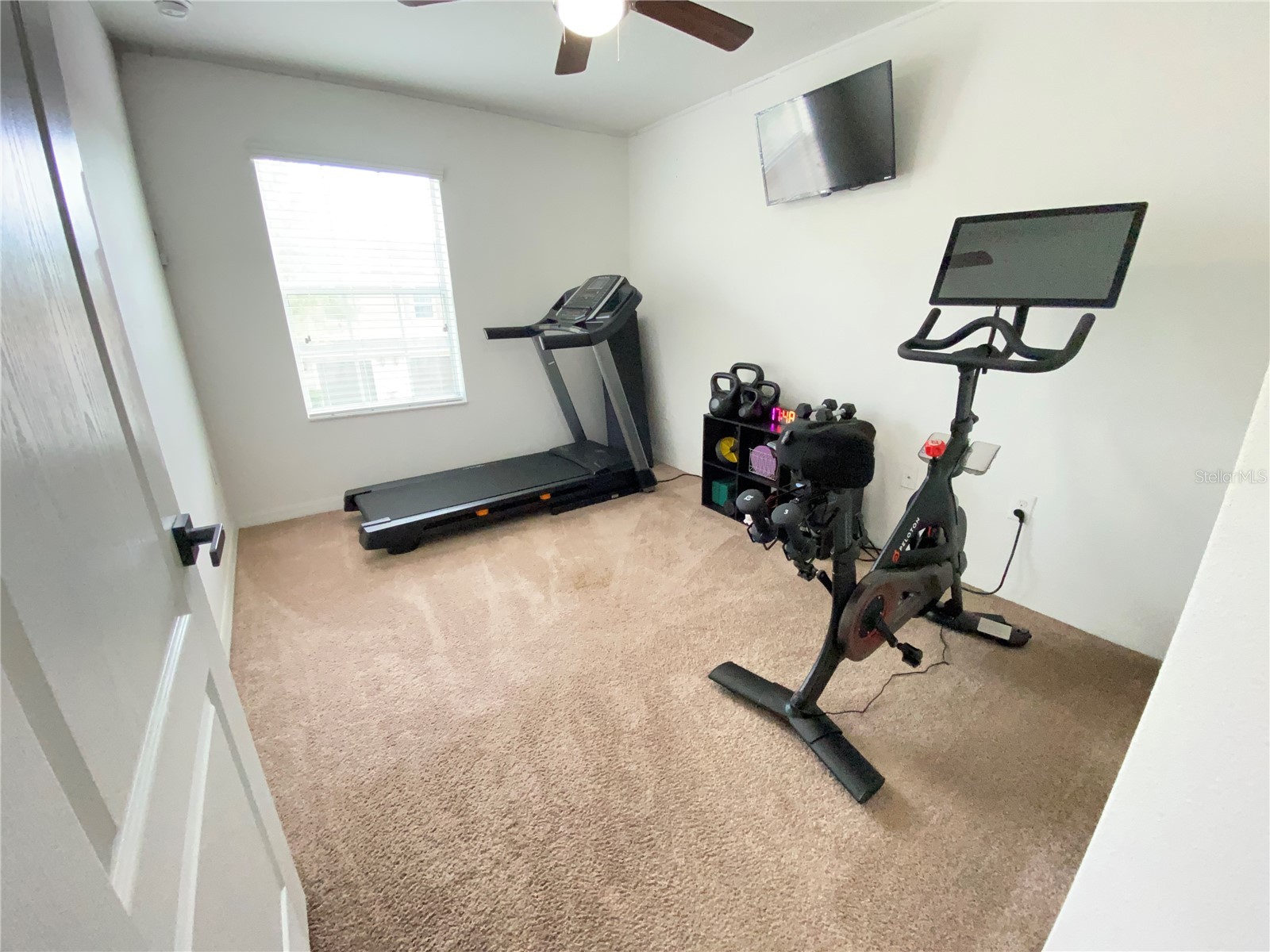 12036 Greengate Drive Hudson FL 34669 TB8491754 image32