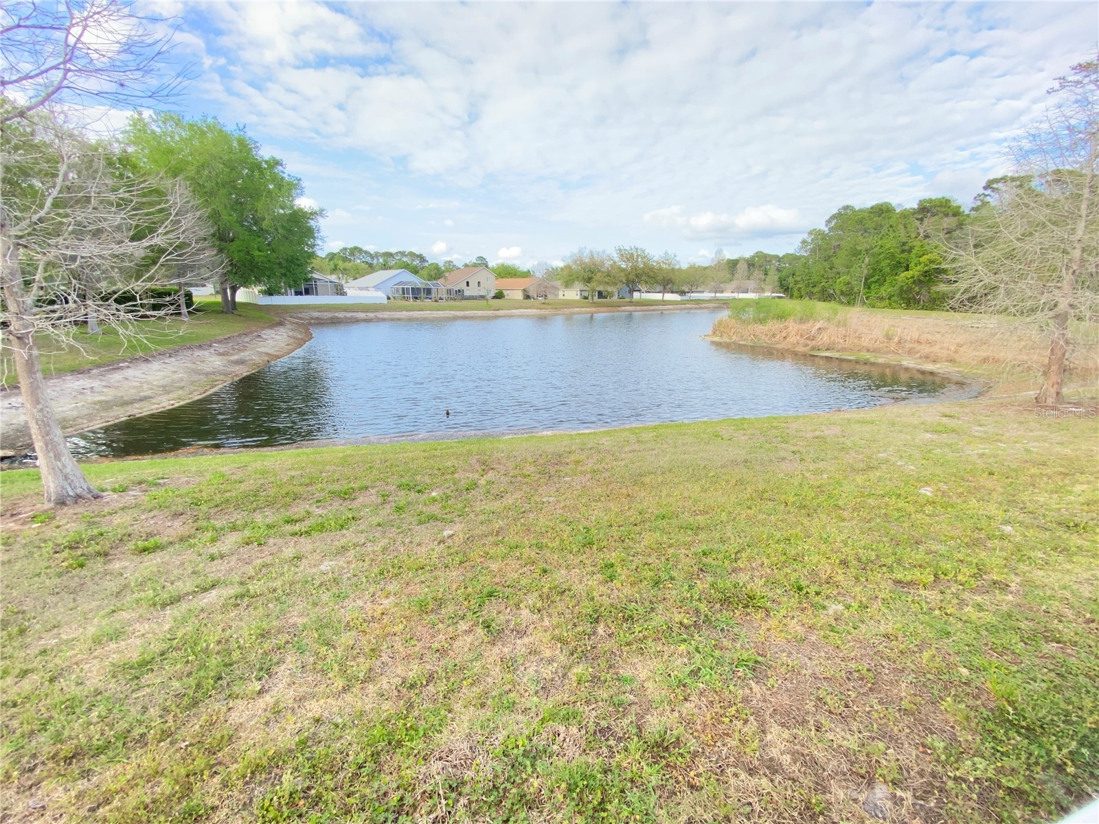 12036 Greengate Drive Hudson FL 34669 TB8491754 image40