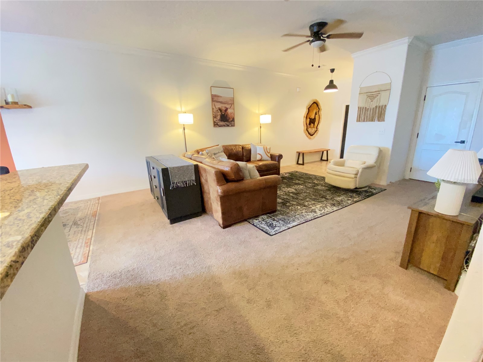 12036 Greengate Drive Hudson FL 34669 TB8491754 image7