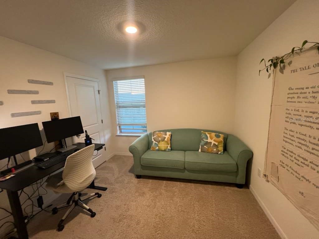 12036 Holystone Street Winter Garden FL 34787 S5139531 image11