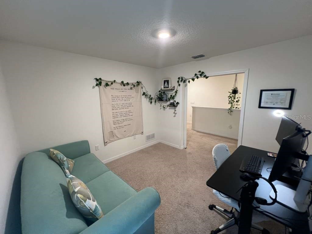 12036 Holystone Street Winter Garden FL 34787 S5139531 image13