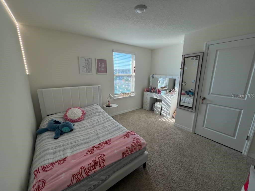 12036 Holystone Street Winter Garden FL 34787 S5139531 image14