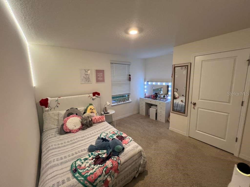 12036 Holystone Street Winter Garden FL 34787 S5139531 image29