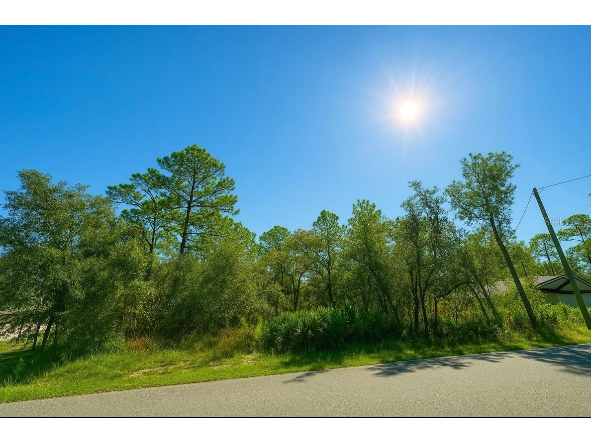 12036 Limpkin Rd Weeki Wachee FL 34614 TB8437006 image1