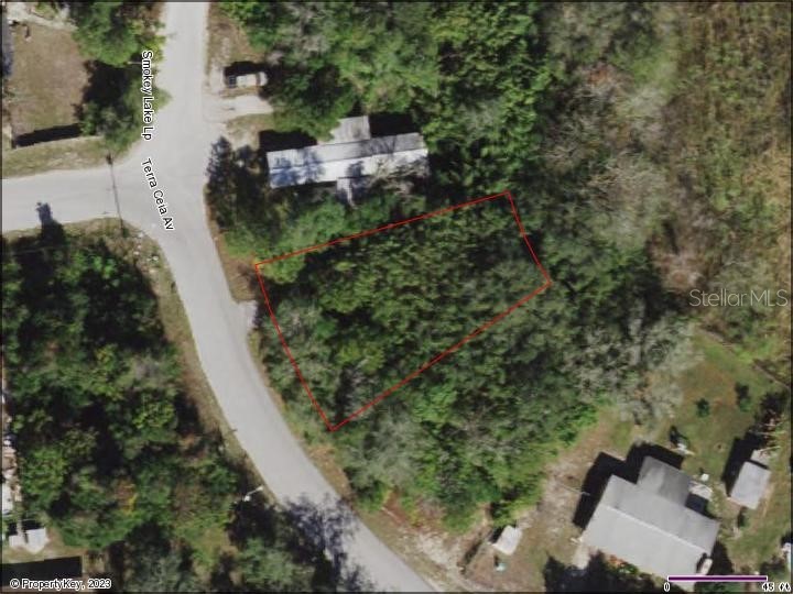 12037 Terra Ceia Avenue New Port Richey FL 34654 A4574101 image1