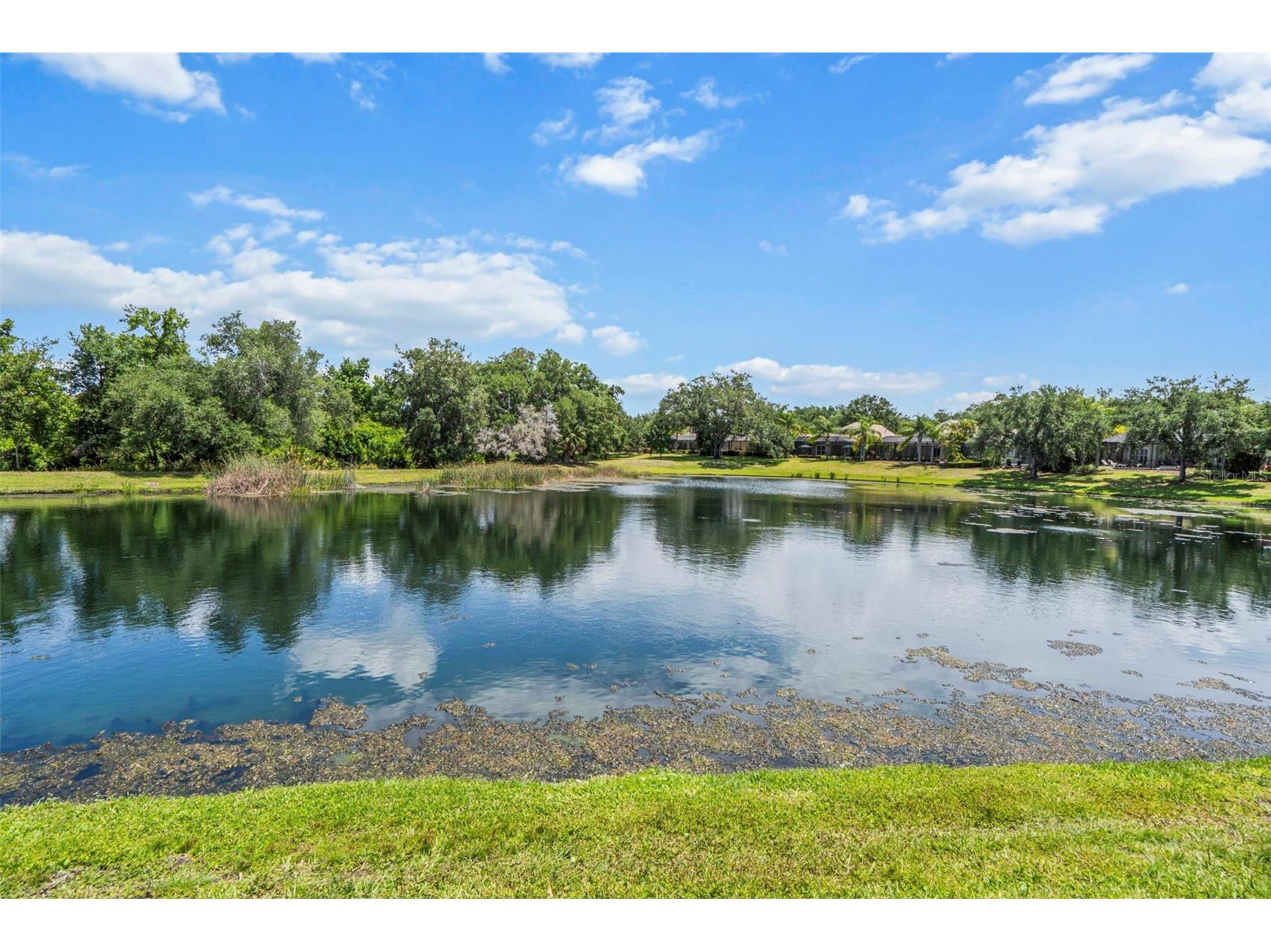 12037 Thornhill Court Lakewood Ranch FL 34202 A4692670 image27