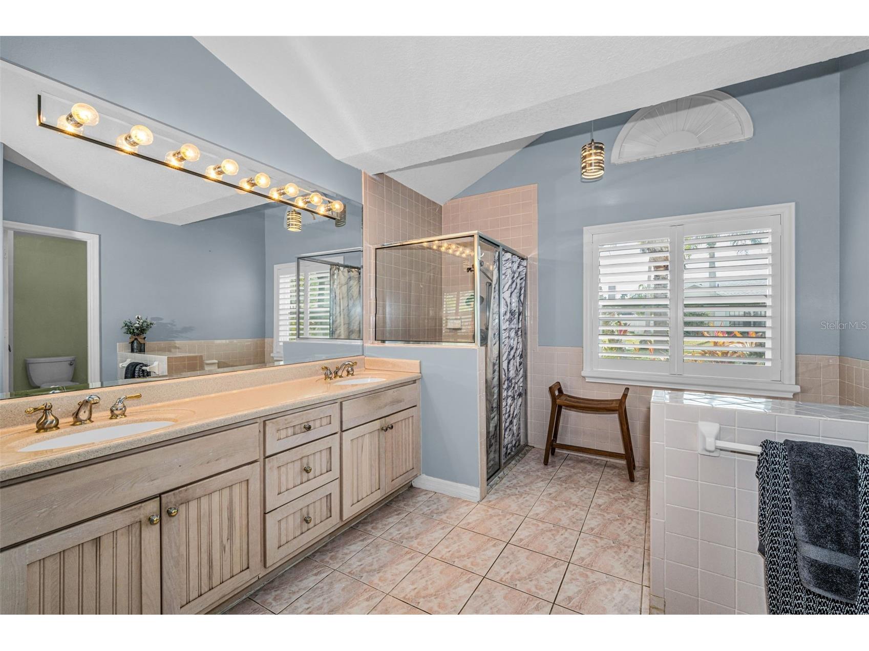 12038 Stone Crossing Circle Tampa FL 33635 TB8478462 image40