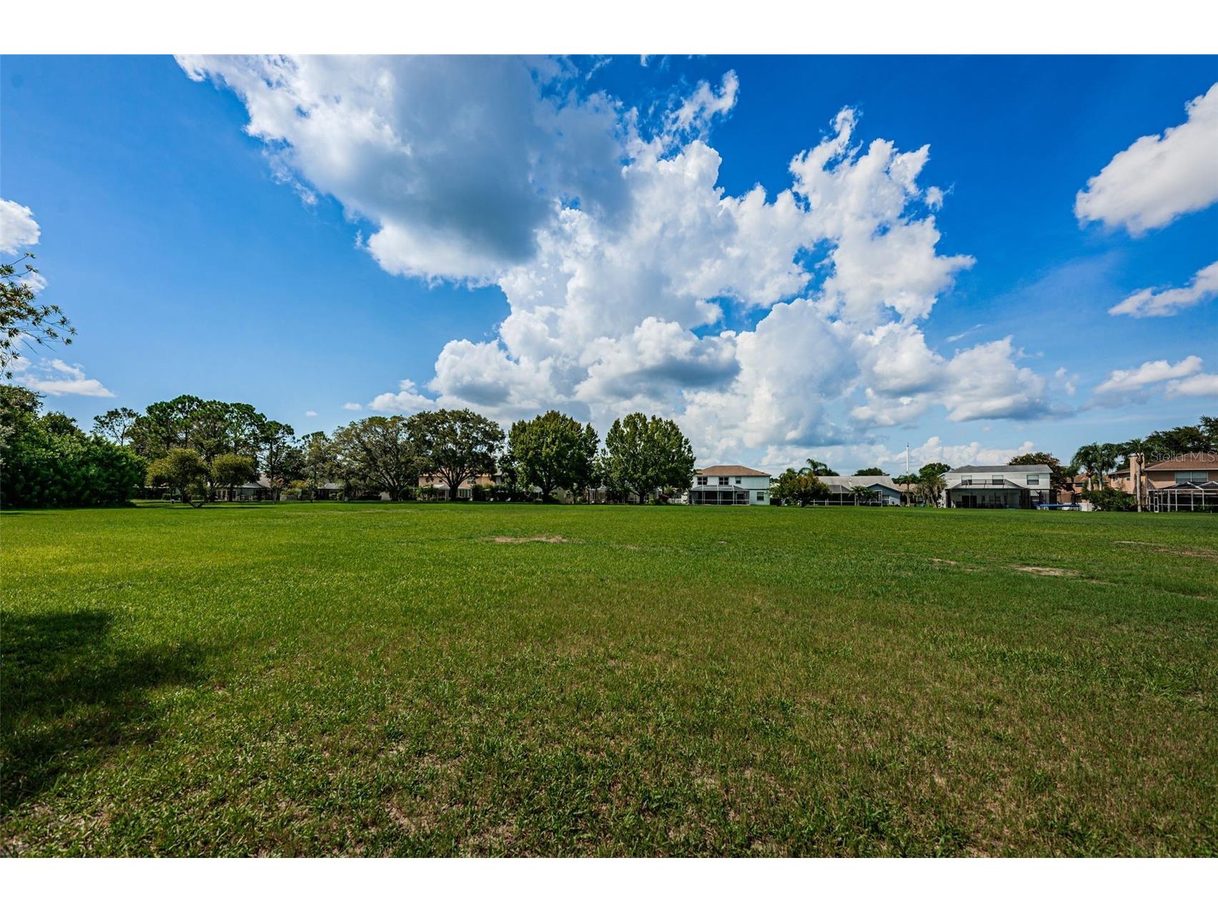 12038 Stone Crossing Circle Tampa FL 33635 TB8478462 image73