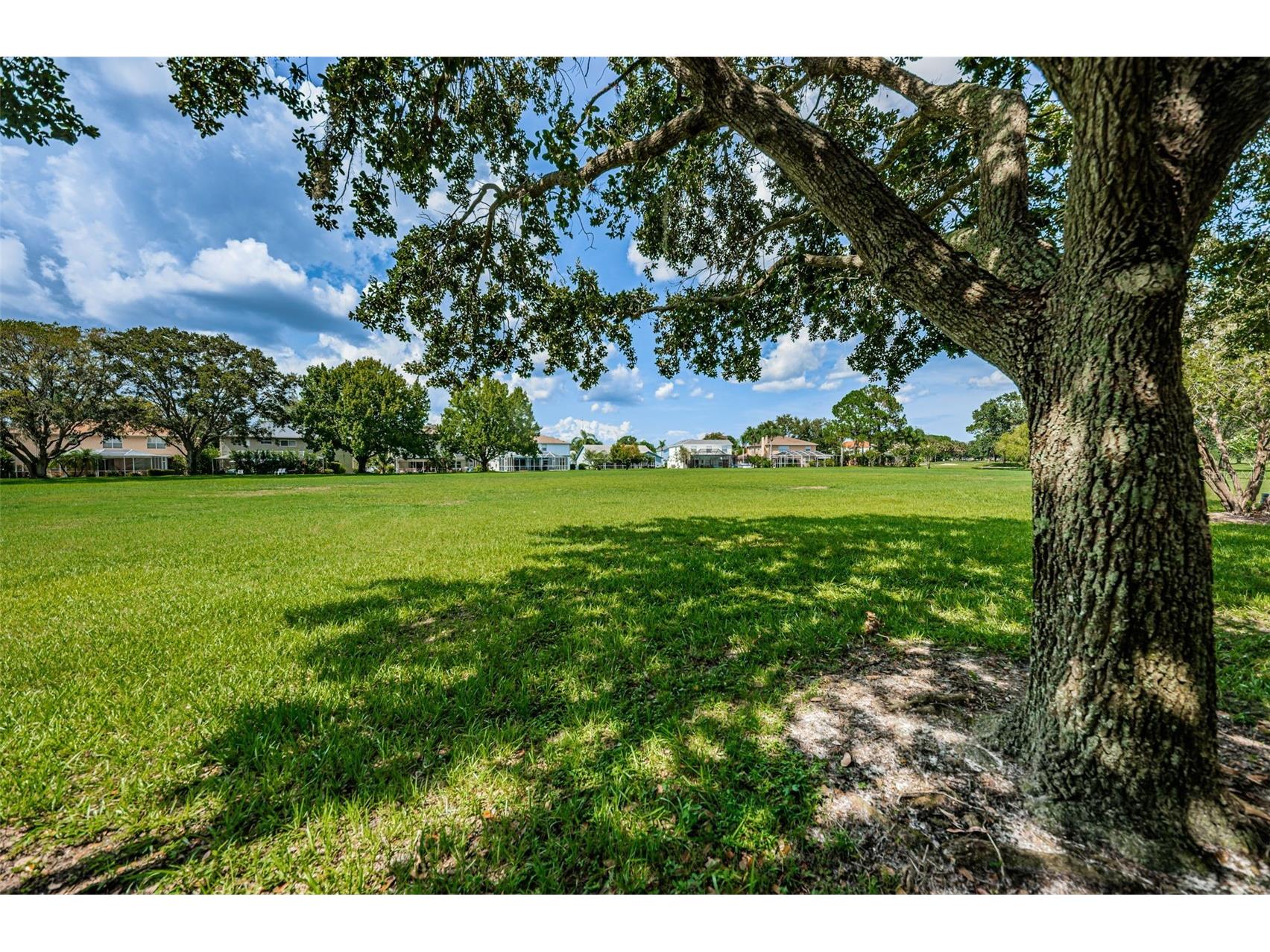 12038 Stone Crossing Circle Tampa FL 33635 TB8478462 image74