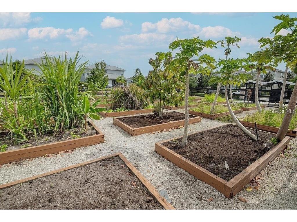 12039 Prologue Avenue Orlando FL 32832 S5141847 image32