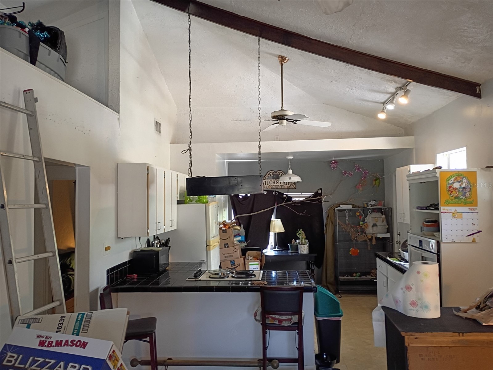 1204 38th Avenue N Saint Petersburg FL 33704 TB8505723 image6