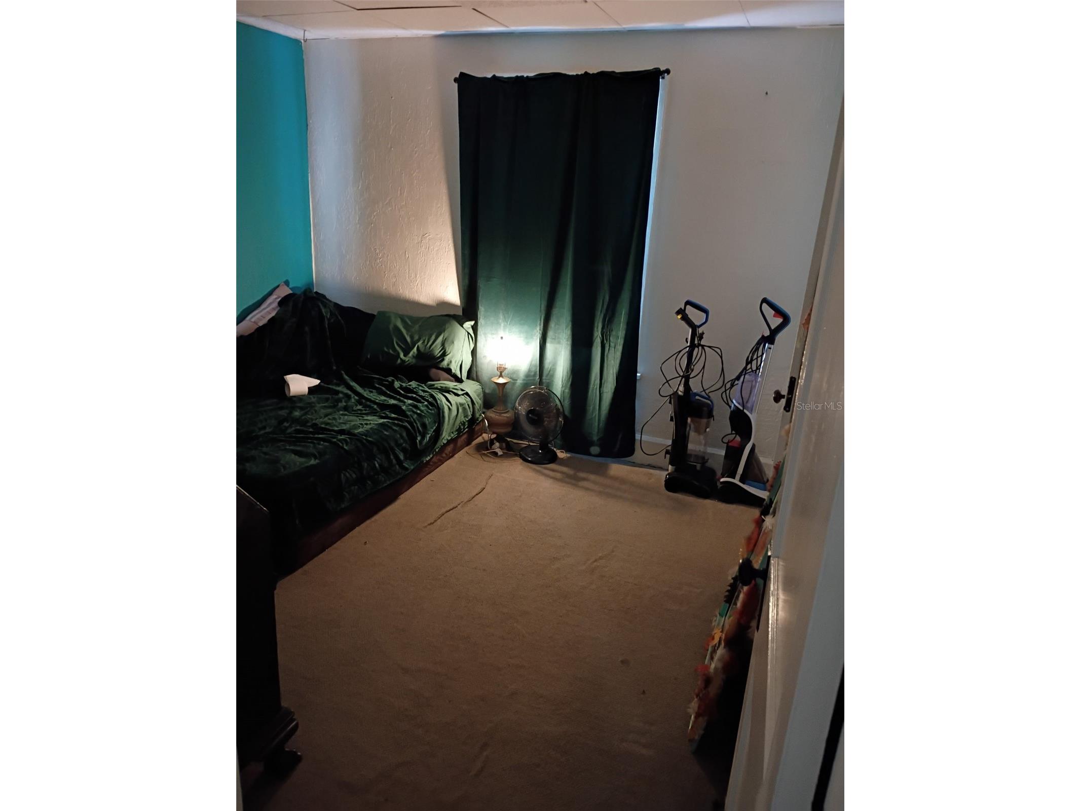 1204 38th Avenue N Saint Petersburg FL 33704 TB8505723 image8